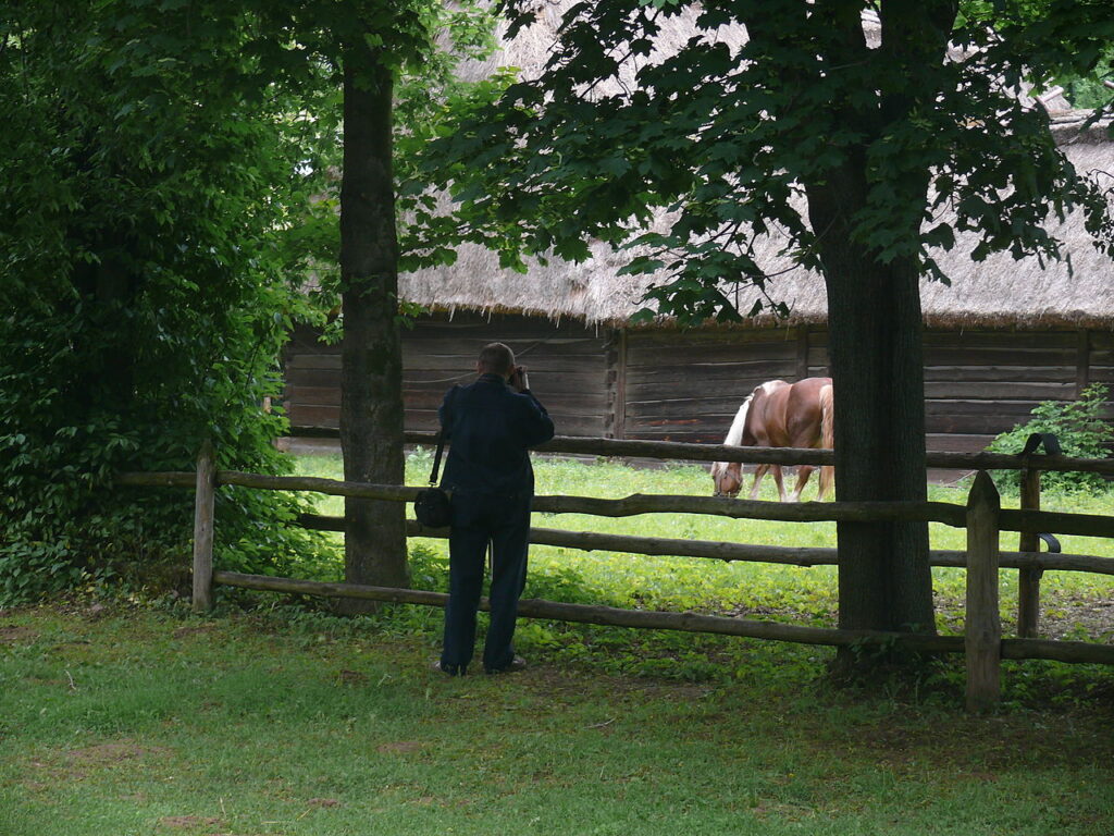 Muzeum Wsi Lubelskiej opinie