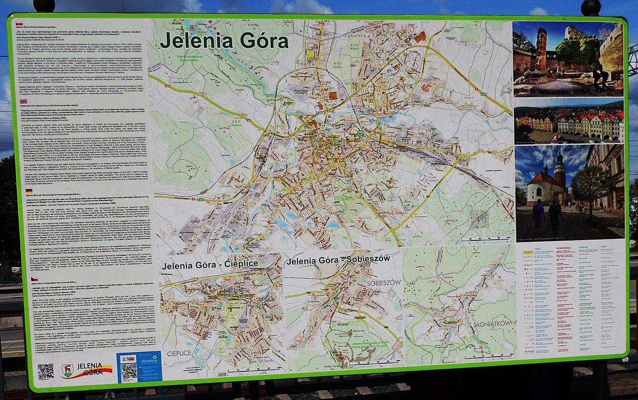 jelonka